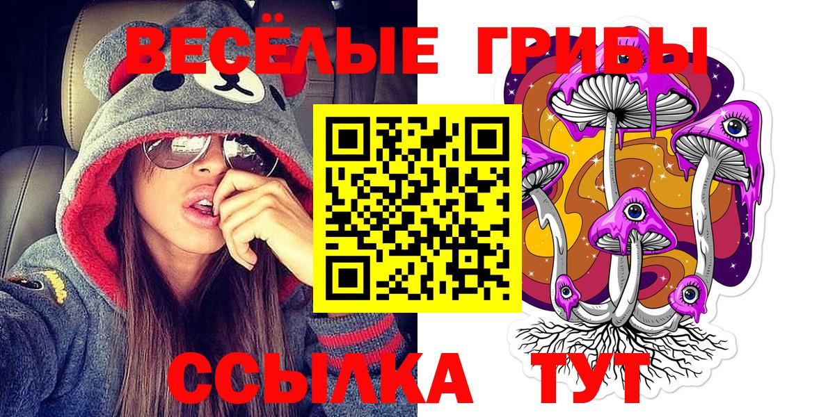 Псилоцибиновые грибы Psilocybine cubensis  Вход с VPN  Туймазы 